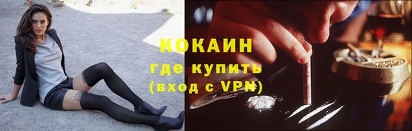 сатива Алзамай