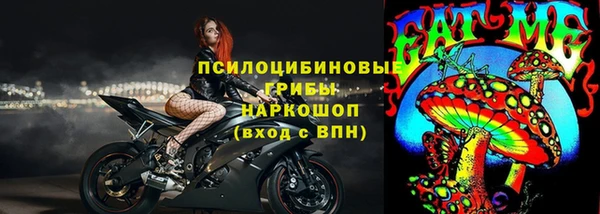 PSILOCYBIN Щучье